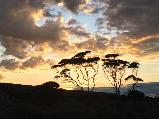 Hearts Across Australia Week 06 photo from 20 Jun 2015.