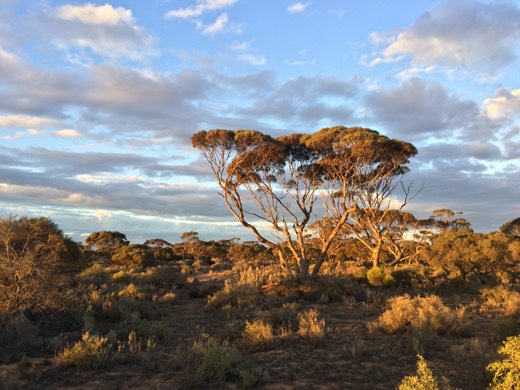 Hearts Across Australia Week 06 photo from 20 Jun 2015.
