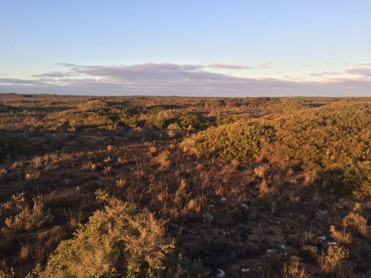 Hearts Across Australia Week 06 photo from 25 Jun 2015.