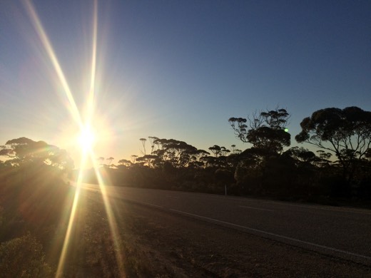 Low sun shining over the Eyre Highway late on Day 43