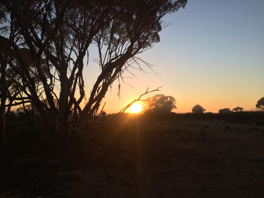 Hearts Across Australia Week 07 photo from 28 Jun 2015.