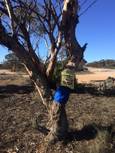 Hearts Across Australia Week 07 photo from 28 Jun 2015.