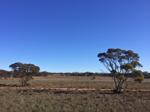 Hearts Across Australia Week 07 photo from 28 Jun 2015.