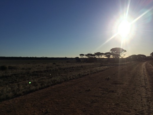 Hearts Across Australia Week 07 photo from 28 Jun 2015.