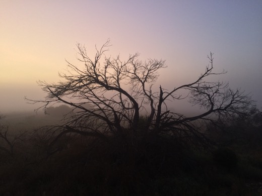 Day 45 photo from 29 Jun 2015 during Hearts Across Australia.