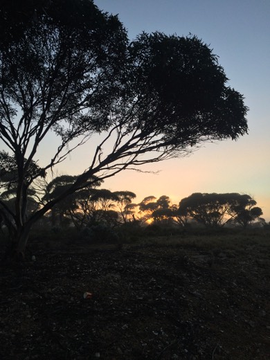 Day 45 photo from 29 Jun 2015 during Hearts Across Australia.