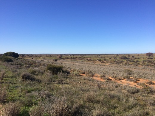 Day 45 photo from 29 Jun 2015 during Hearts Across Australia.