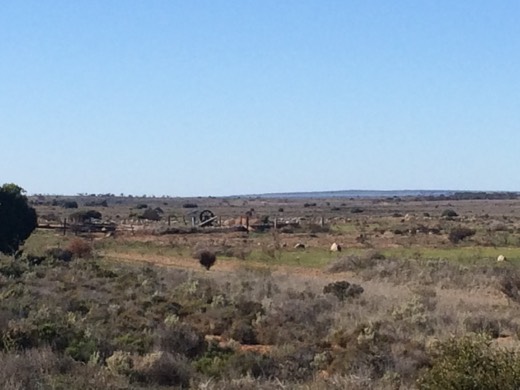 Hearts Across Australia Week 07 photo from 29 Jun 2015.