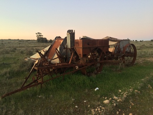 Old farm machinery near the Eyre Highway in late afternoon light