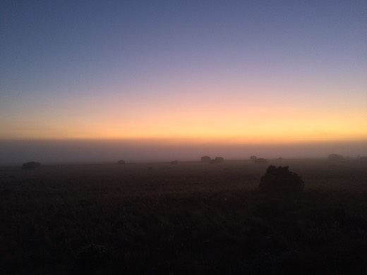 Hearts Across Australia Week 07 photo from 30 Jun 2015.