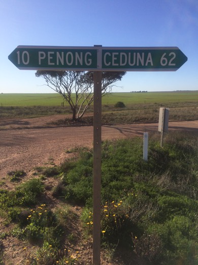 Road sign showing Penong behind and Ceduna ahead