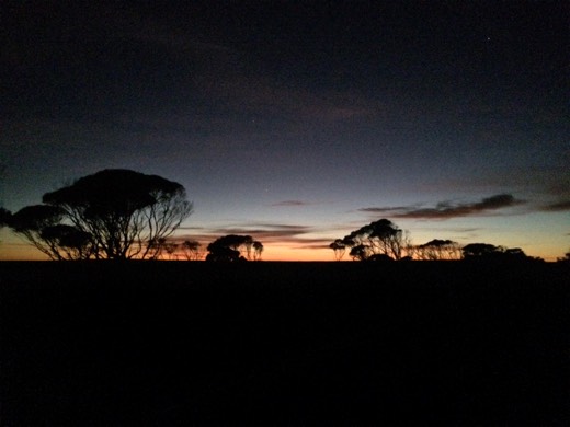 Sunrise silhouettes beside the Eyre Highway
