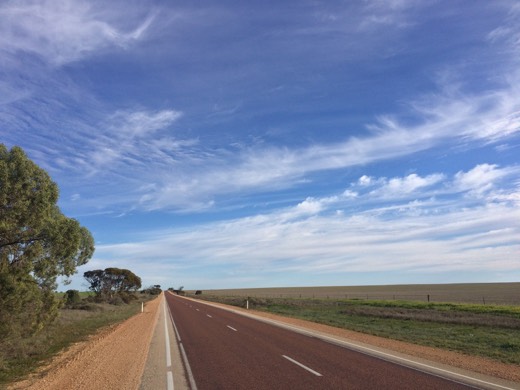 Eyre Highway running ahead beneath a wide blue sky