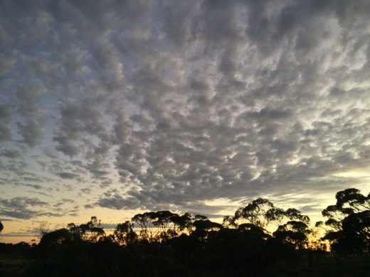 Hearts Across Australia Week 07 photo from 3 Jul 2015.