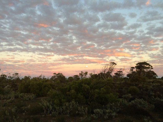 Hearts Across Australia Week 07 photo from 3 Jul 2015.