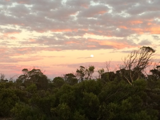 Hearts Across Australia Week 07 photo from 3 Jul 2015.