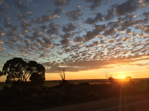 Hearts Across Australia Week 07 photo from 3 Jul 2015.