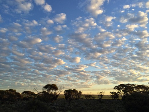 Hearts Across Australia Week 07 photo from 3 Jul 2015.
