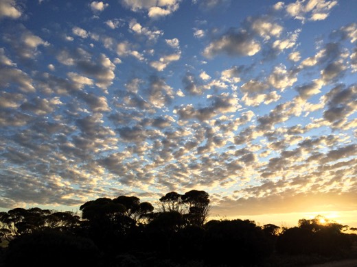 Hearts Across Australia Week 07 photo from 3 Jul 2015.