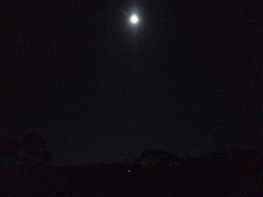 Hearts Across Australia Week 07 photo from 5 Jul 2015.