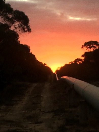 Hearts Across Australia Week 07 photo from 5 Jul 2015.
