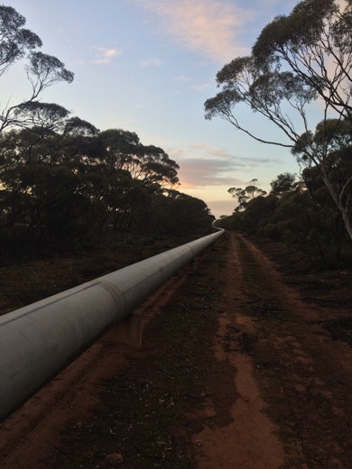 Hearts Across Australia Week 07 photo from 6 Jul 2015.