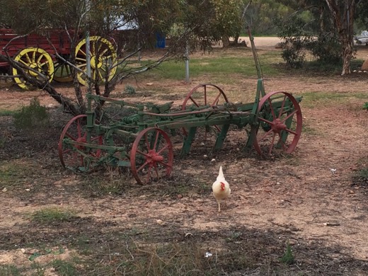 Hearts Across Australia Week 07 photo from 7 Jul 2015.