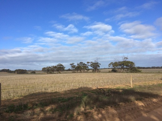 Hearts Across Australia Week 07 photo from 7 Jul 2015.