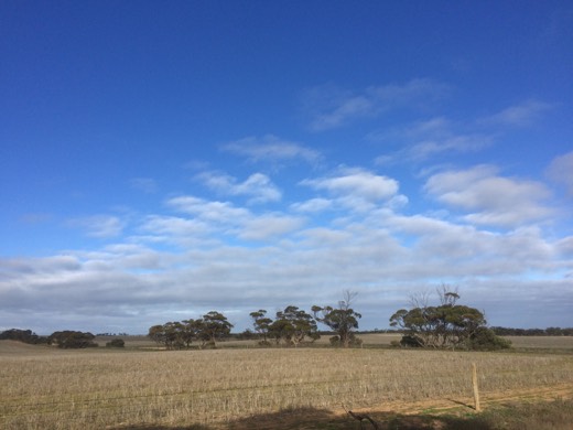 Hearts Across Australia Week 07 photo from 7 Jul 2015.