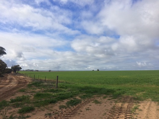 Hearts Across Australia Week 07 photo from 7 Jul 2015.