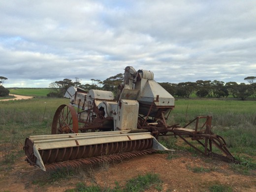 Hearts Across Australia Week 07 photo from 7 Jul 2015.
