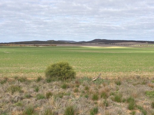 Hearts Across Australia Week 07 photo from 8 Jul 2015.