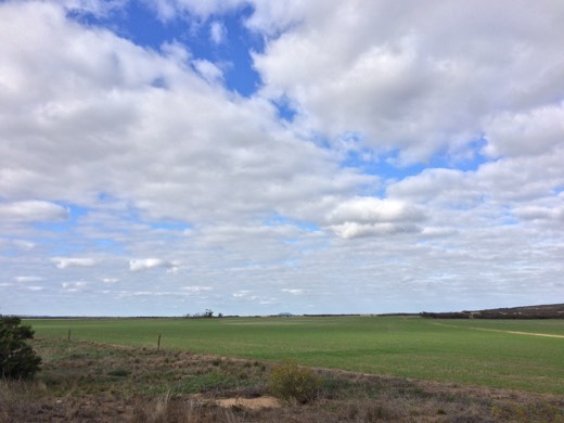 Hearts Across Australia Week 07 photo from 8 Jul 2015.