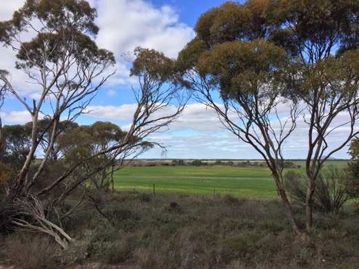 Hearts Across Australia Week 07 photo from 8 Jul 2015.