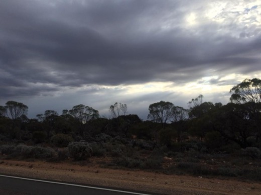 Dark showery clouds over South Australian scrub on Day 55