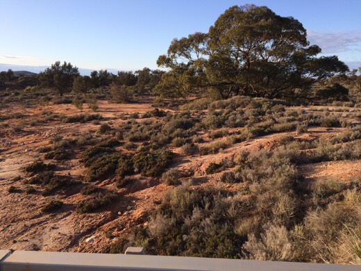 Hearts Across Australia Week 08 photo from 10 Jul 2015.