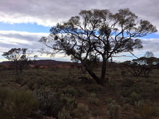 Hearts Across Australia Week 08 photo from 10 Jul 2015.