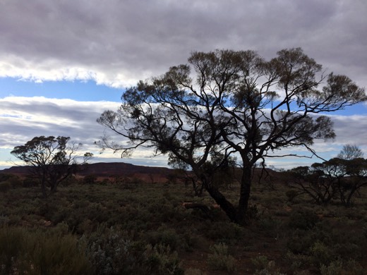 Hearts Across Australia Week 08 photo from 10 Jul 2015.