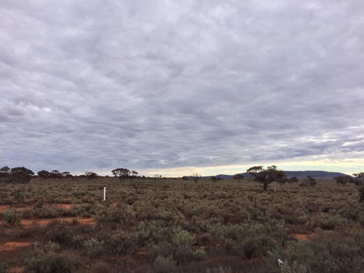 Hearts Across Australia Week 08 photo from 10 Jul 2015.
