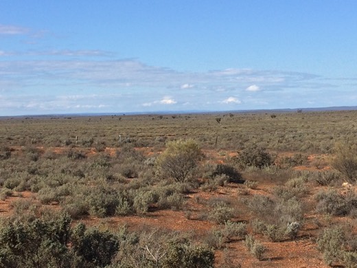 Hearts Across Australia Week 08 photo from 10 Jul 2015.