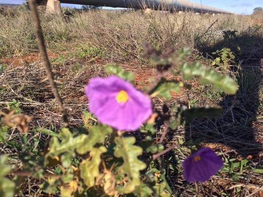 Hearts Across Australia Week 08 photo from 11 Jul 2015.