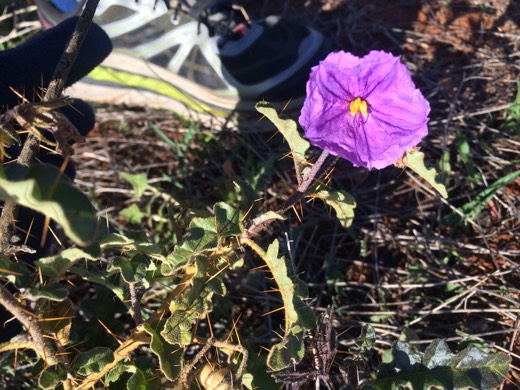 Hearts Across Australia Week 08 photo from 11 Jul 2015.