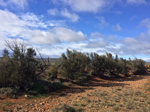 Hearts Across Australia Week 08 photo from 11 Jul 2015.