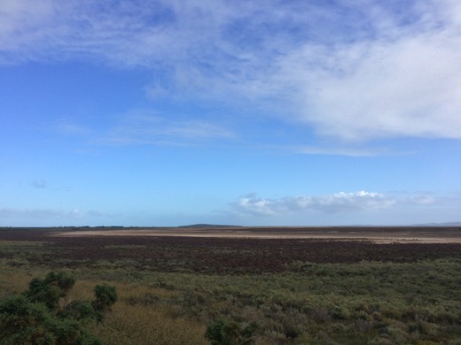 Hearts Across Australia Week 08 photo from 12 Jul 2015.