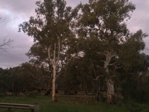 Hearts Across Australia Week 08 photo from 12 Jul 2015.