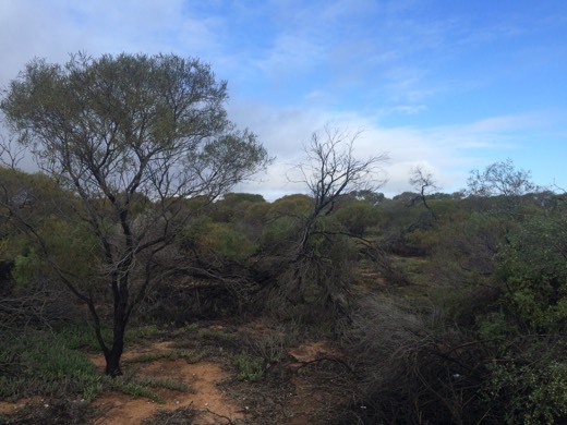 Hearts Across Australia Week 08 photo from 13 Jul 2015.