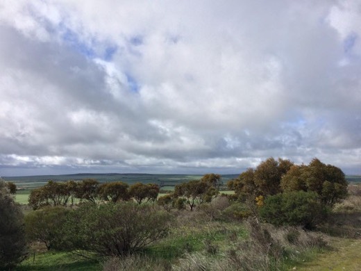 Green South Australian country under a grey winter sky on Day 61.