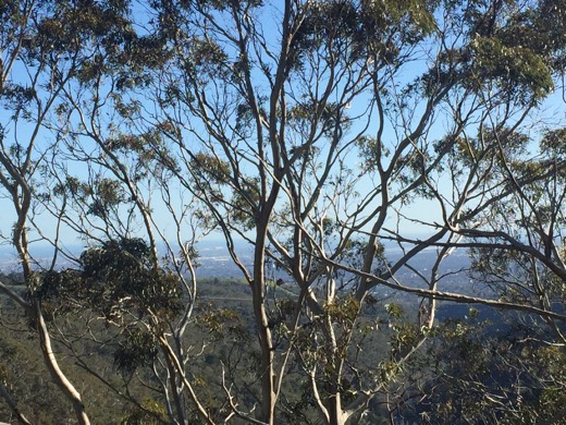 Hearts Across Australia Week 09 photo from 20 Jul 2015.