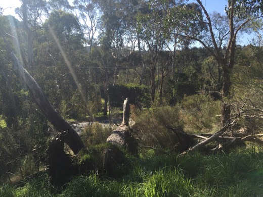 Hearts Across Australia Week 09 photo from 20 Jul 2015.