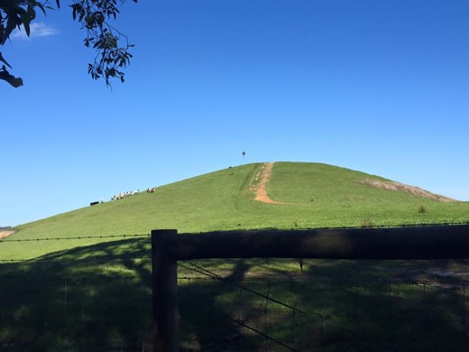 Green Adelaide Hills paddock that reminded Gary of Glastonbury.